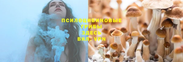 эйфоретик Алзамай