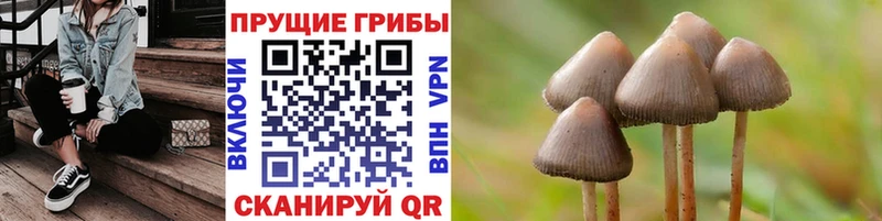 Псилоцибиновые грибы мухоморы  Североуральск 