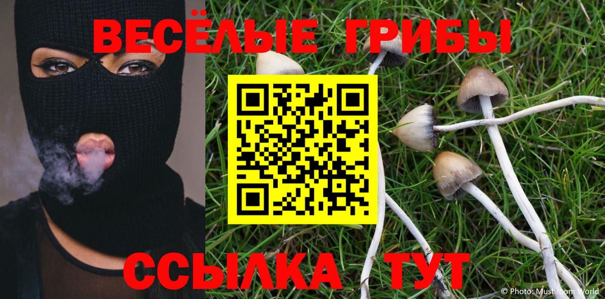 Псилоцибиновые грибы мицелий Североуральск